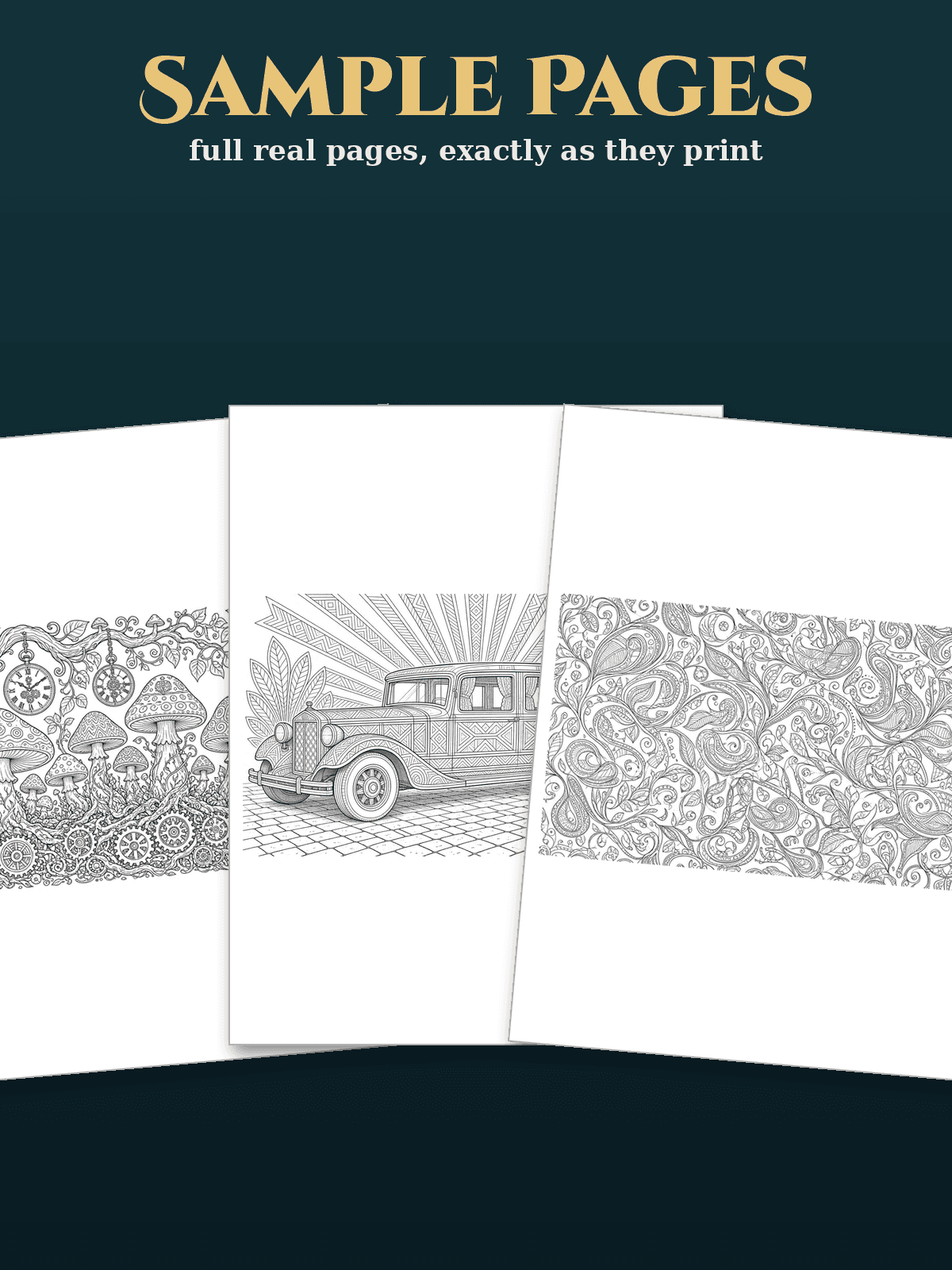Adult Folk Art Coloring Mega Bundle (4 Books, 80 Pages) preview 3